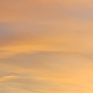 Meet your Posher, Josie